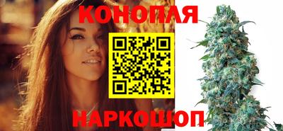 эйфоретик Кингисепп