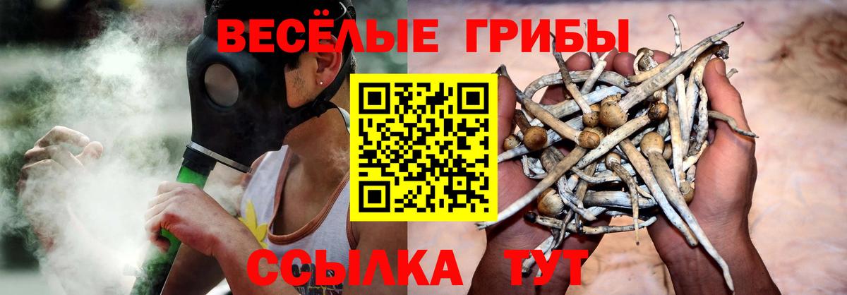 Псилоцибиновые грибы Psilocybine cubensis Кудымкар